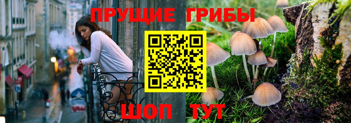 Псилоцибиновые грибы прущие грибы Соликамск