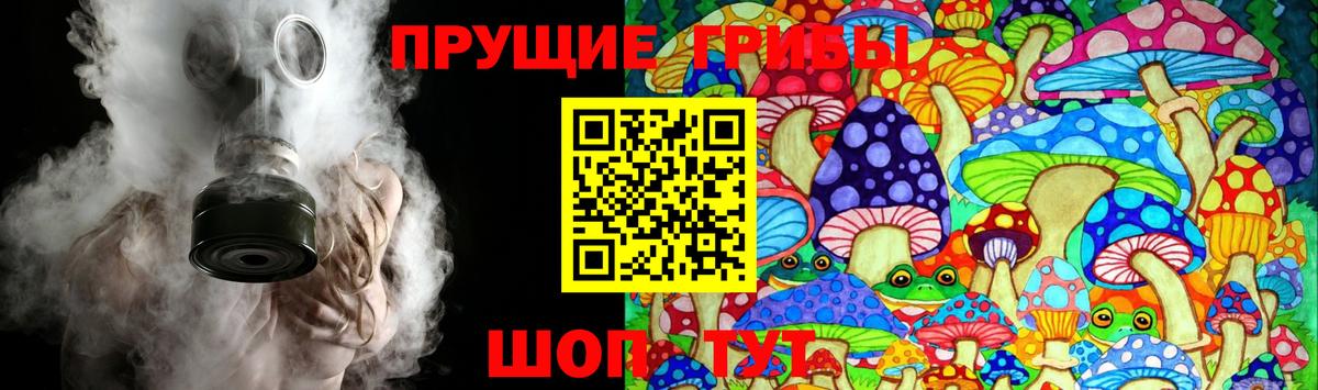 Соликамск  Псилоцибиновые грибы MAGIC MUSHROOMS  Вход с VPN 